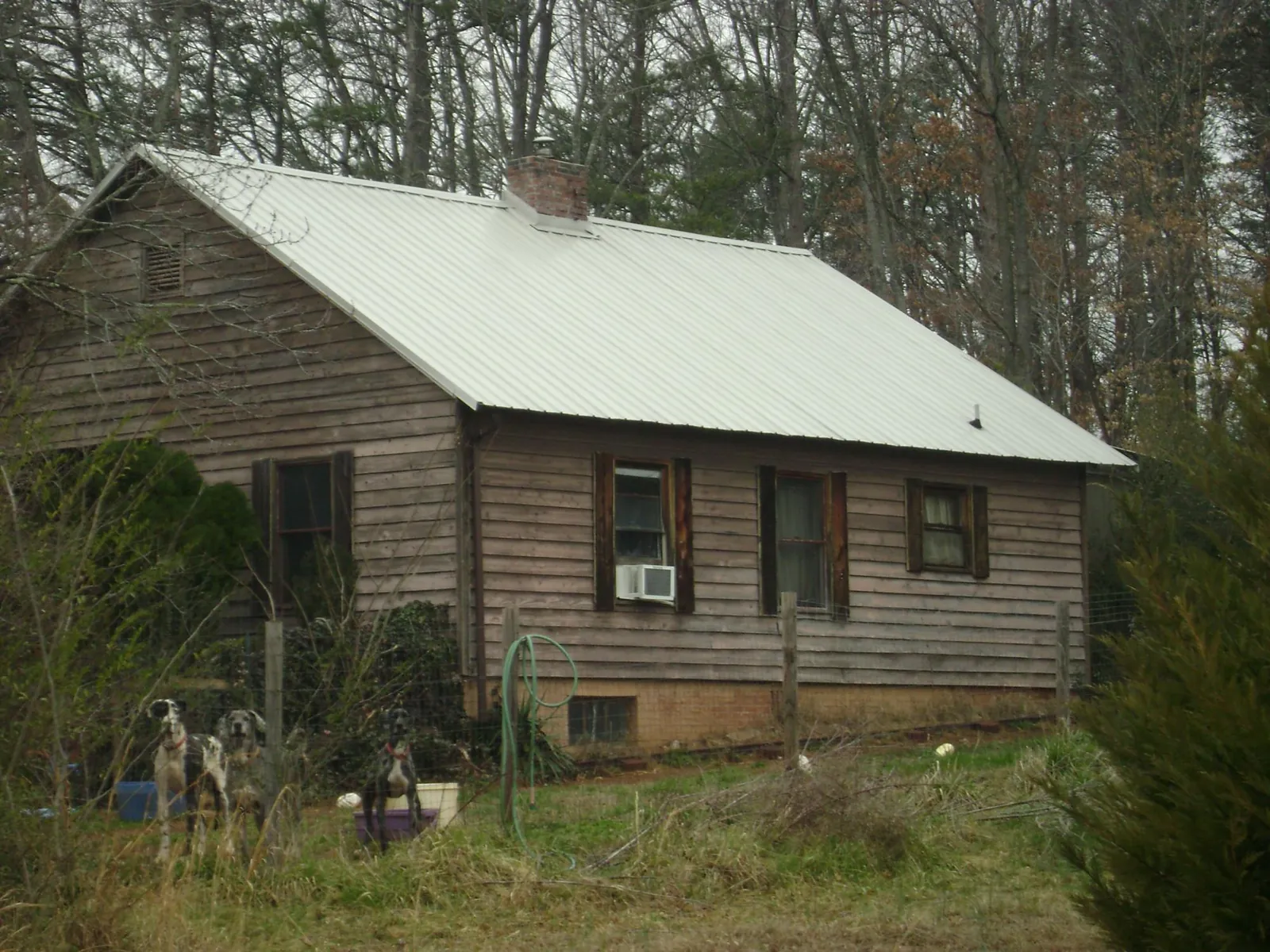 White metal roof on an old wood sided farmhouse, from a Asphalt Shingle Roof Repair job in Derby